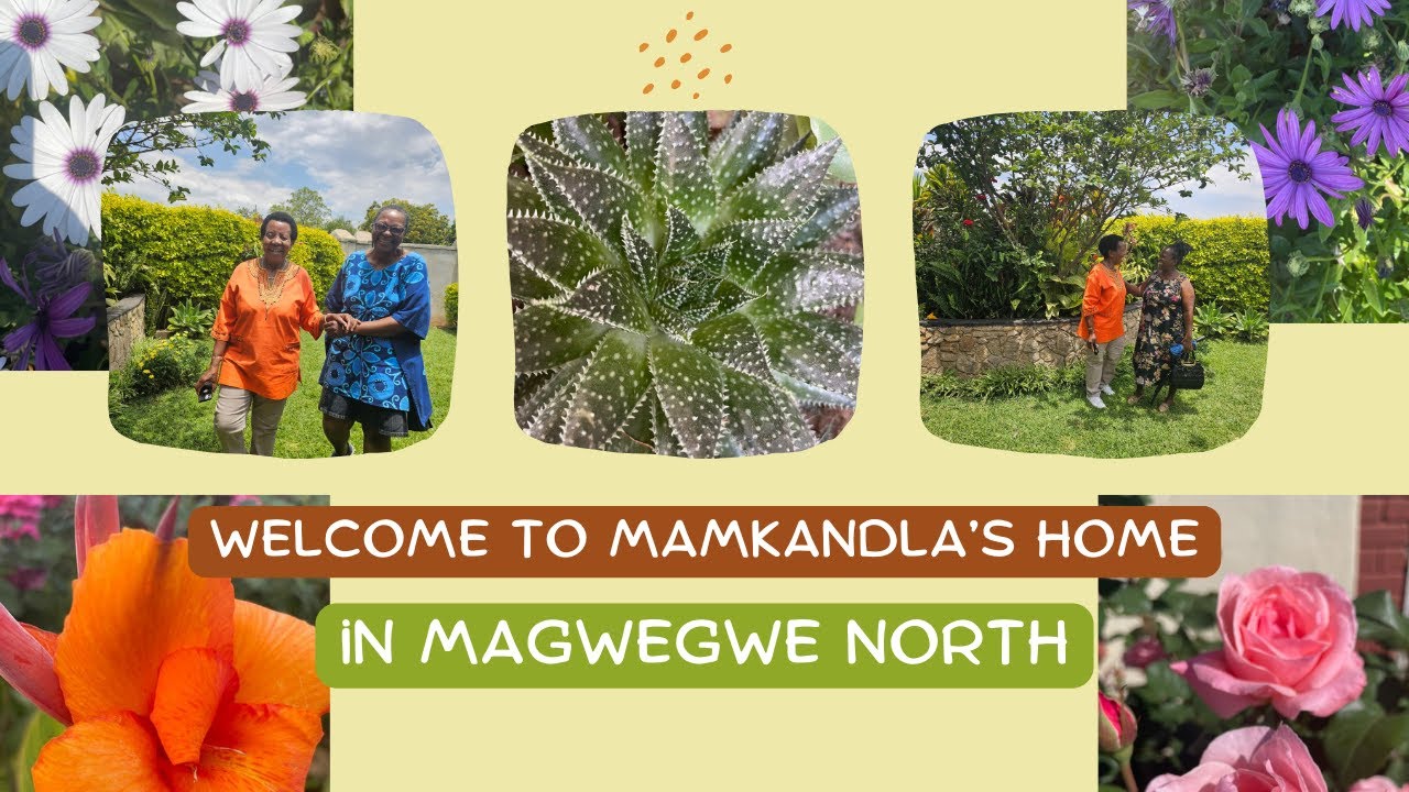 Hello From Magwegwe  North, Bulawayo | Welcome to MaMkandla's Home