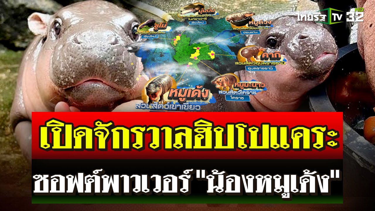 ฮิปโปแคระฟีเวอร์! เปิดจักรวาลเครือญาติเซเลปดัง 