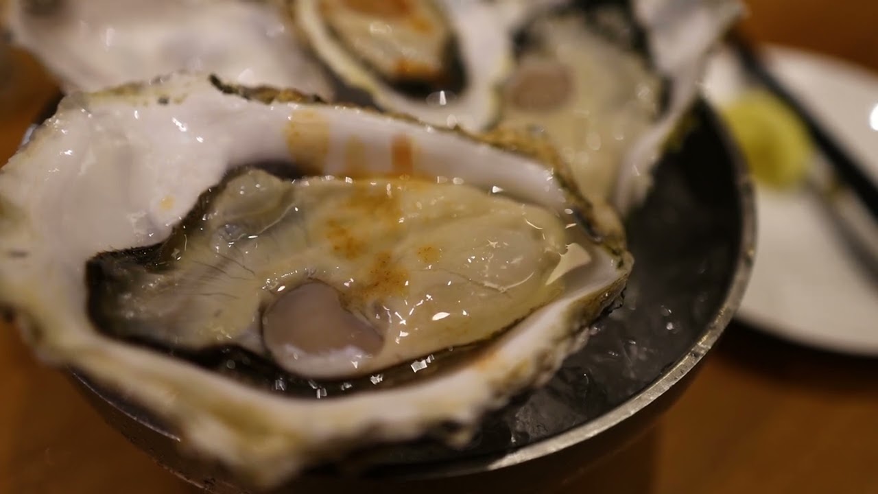 Tokyo, Japan – Stock Footage