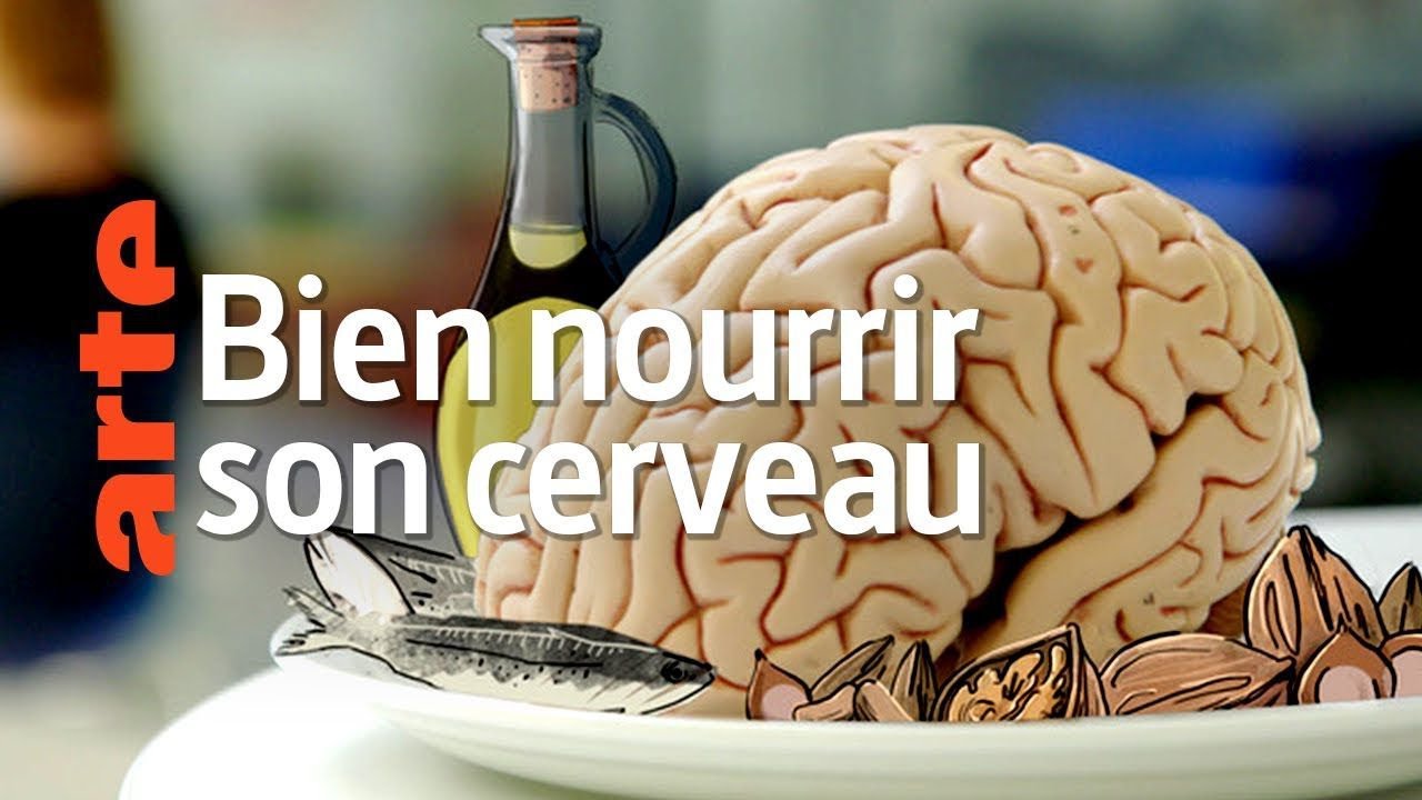 Bien alimenter son cerveau | Sant&eacute; mentale | Documentaire 2020 ARTE