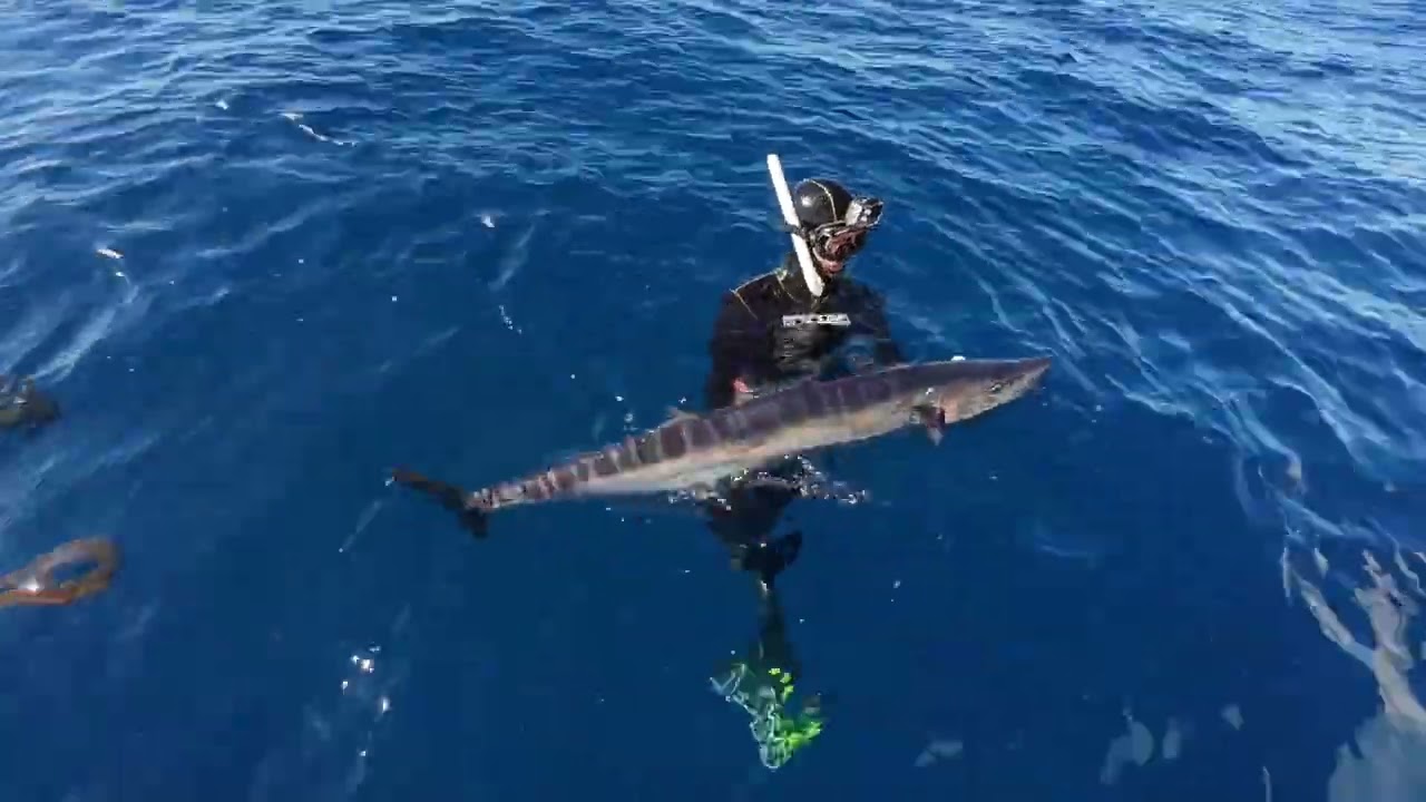 From Wood to Water Episode 2 - The Hunt - Key West Waterman Wahoo prototype