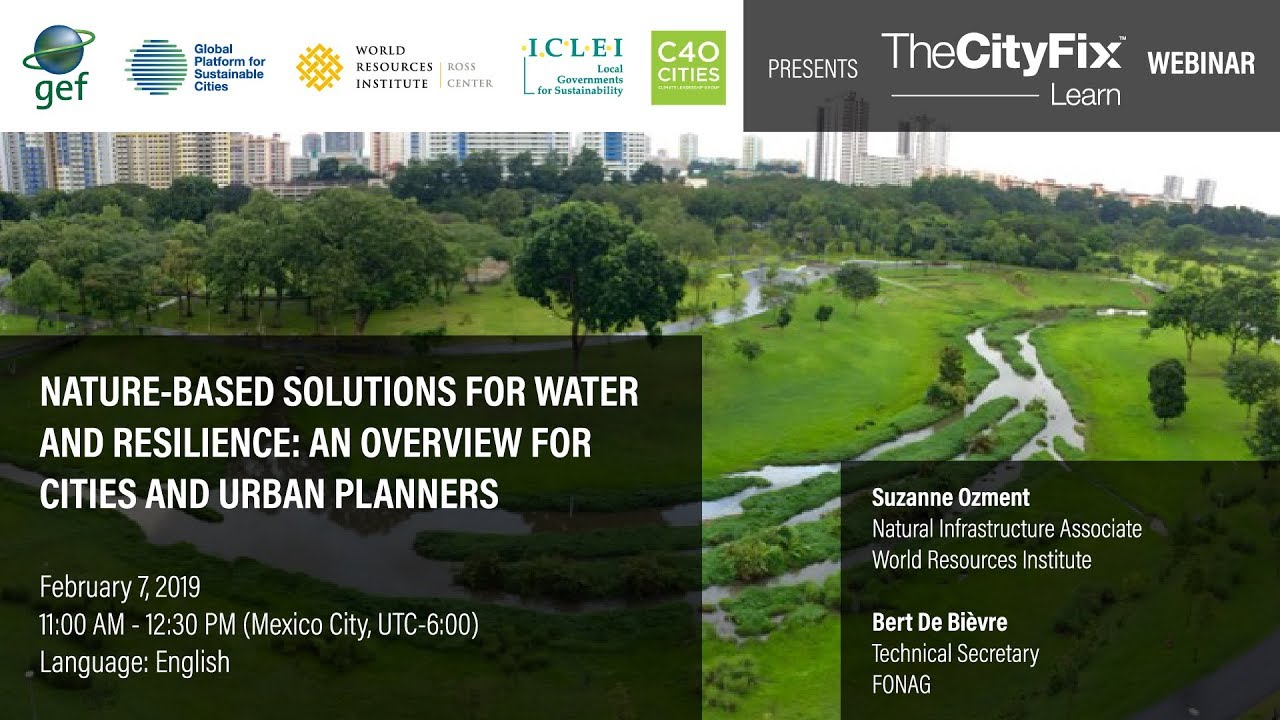 Webinar | Nature-Based Solutions for Water and Resilience: An Overview for Cities and Urban Planners