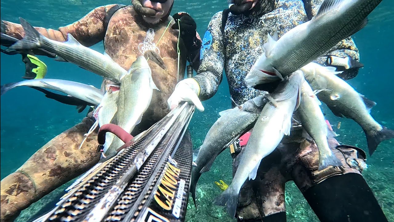PESCA SUB SARDEGNA Dicembre 2025 Spigolando nel cristallo!