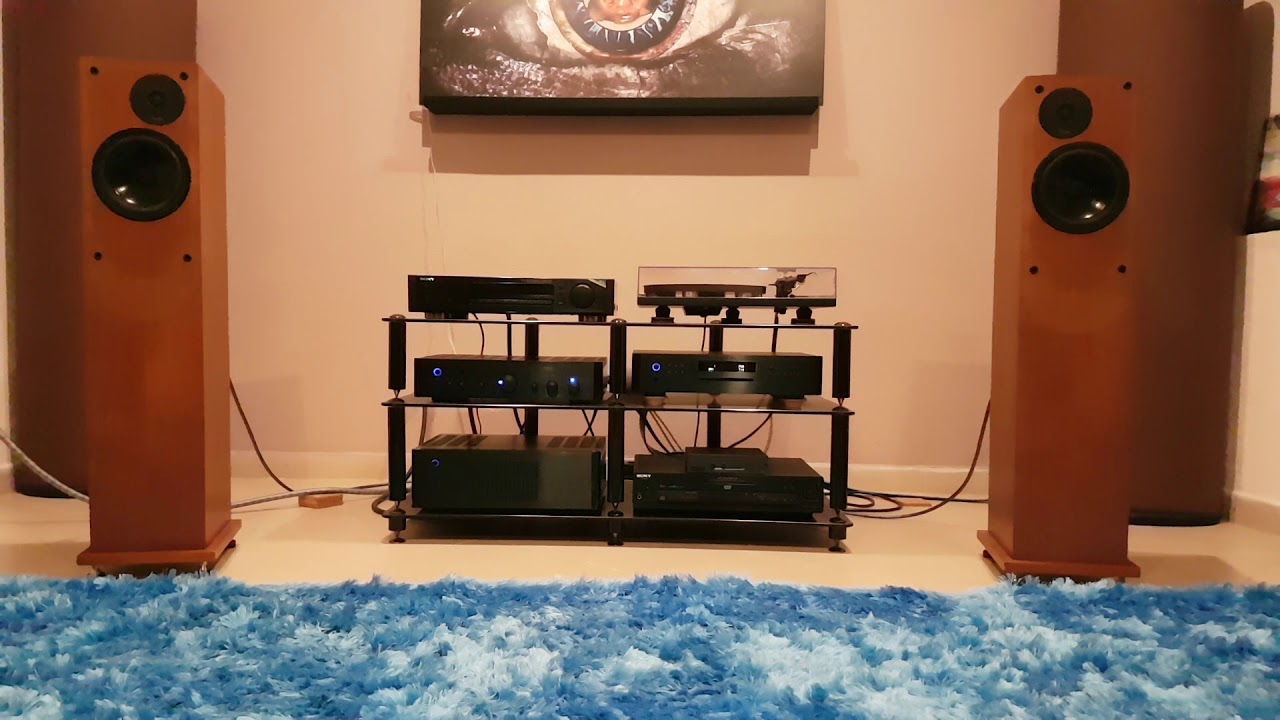 ProAc Studio 125 + Rotel playing Haevn