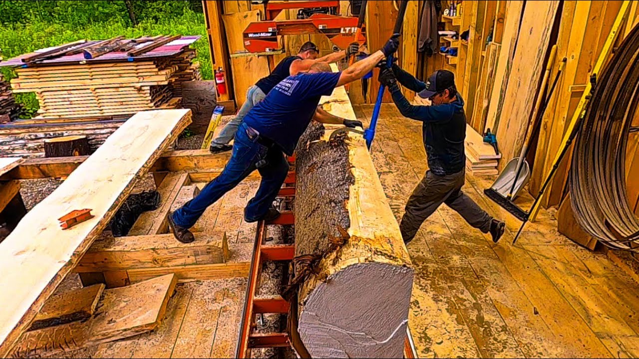 FULL-CREW ON A WHITE PINE MONSTER, WOODMIZER LT15, #59