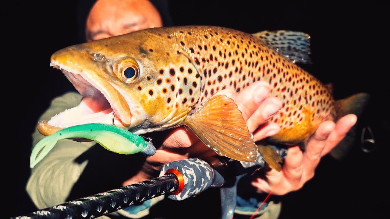 Spinning for Brown Trout at Lake Wendouree: Ballarat Episode  EP.101