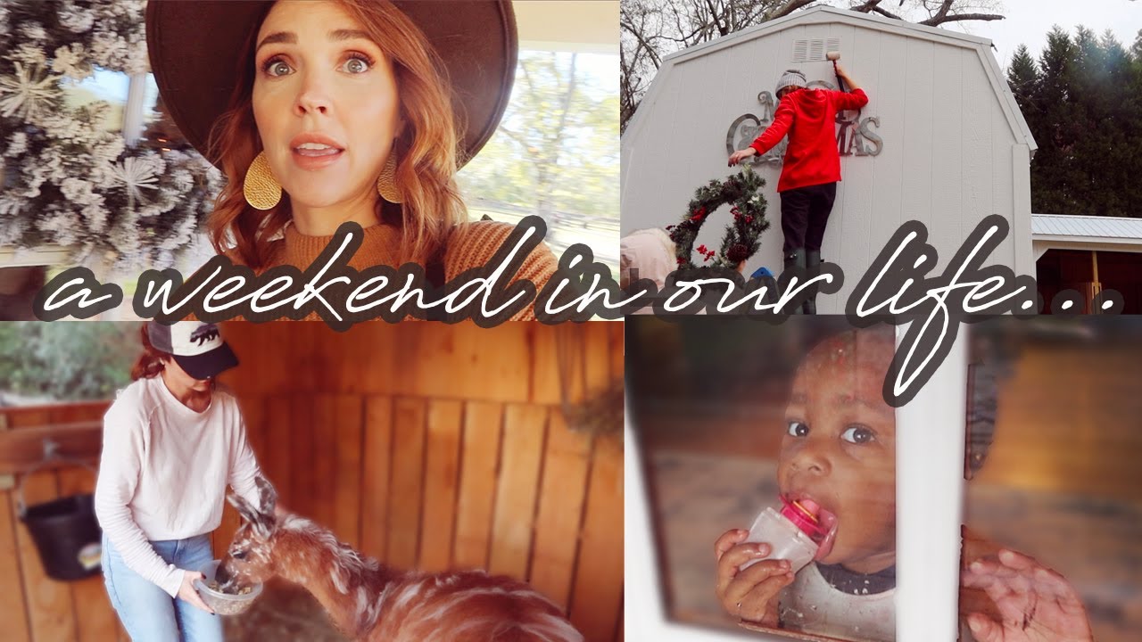 Benji's first candy, Decorating + Llama Training \\ A Weekend in Our Life!