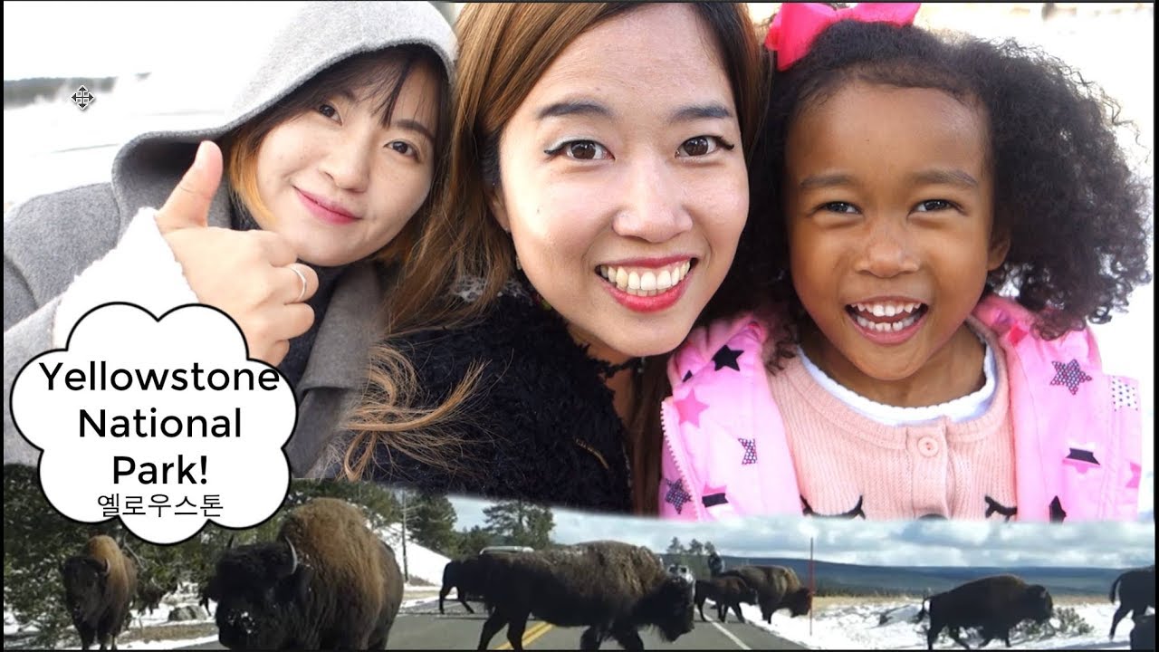 Encountering Bisons(!!) in Yellowstone National Park w/ Wonji Lee | Mommy Vlog ep. 140