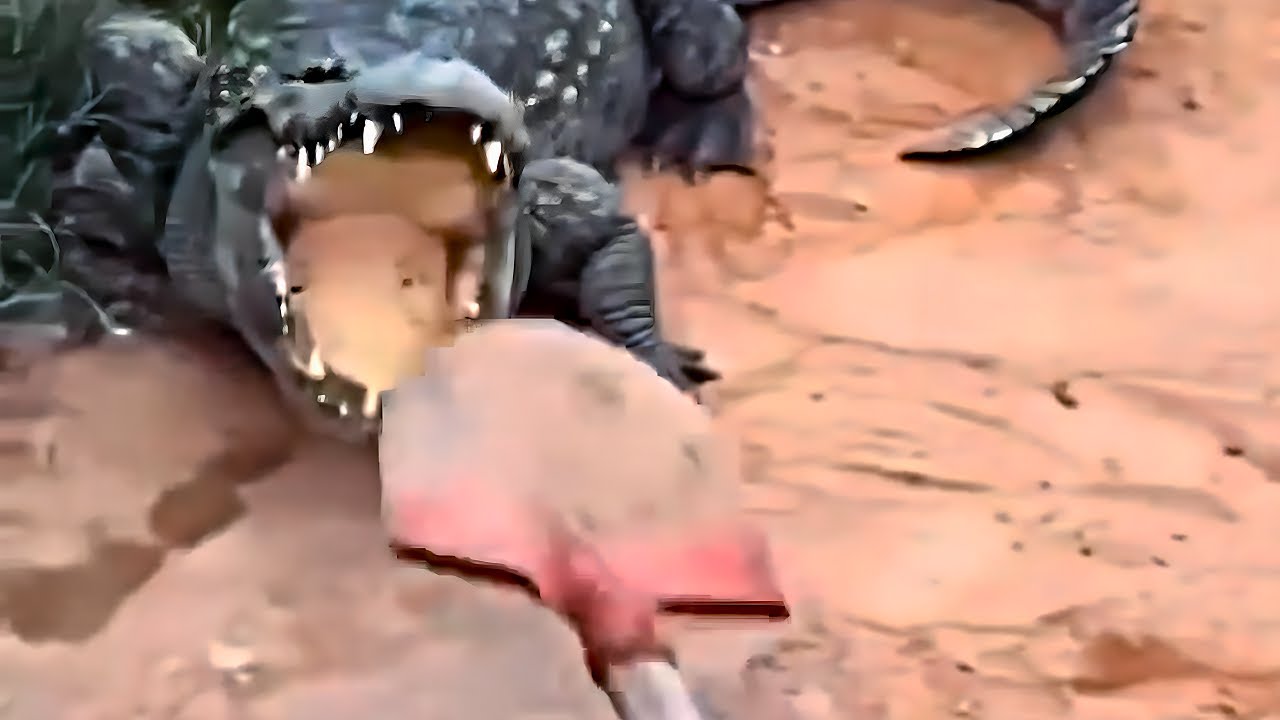 UNUSUAL MEMES COMPILATION V348