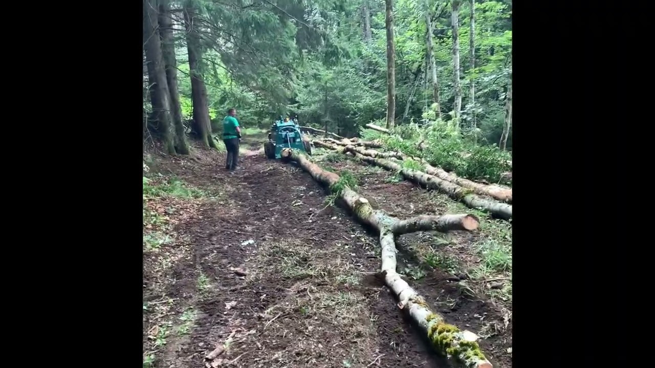 Débardage Pfanzelt Moritz fr75￼