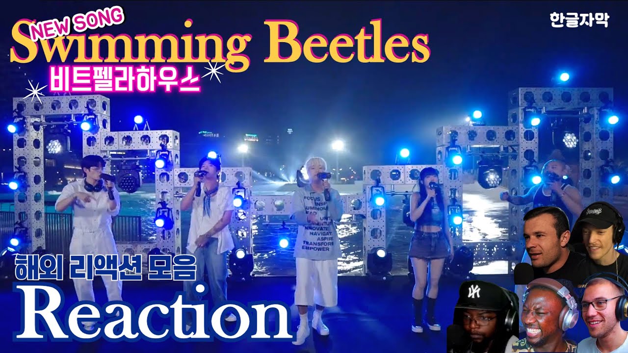 비트펠라하우스 여름 노래  Swimming Beetles 리액션  반응  비트박스 