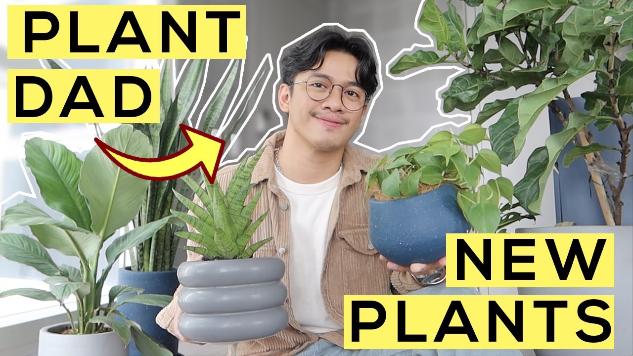 My Indoor Plants at #CasaGuisado! (+ Unboxing)