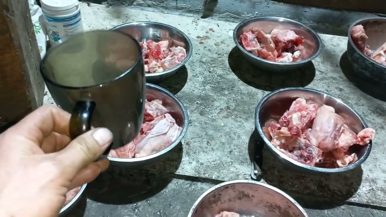 Бугай Алабай. Еда для щенка.
