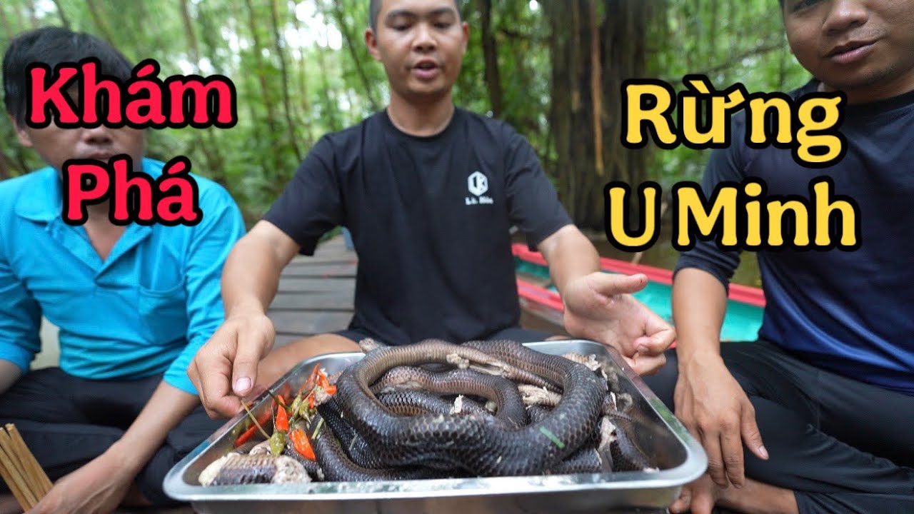 Câu Cá & Khám Phá Khu Rừng Huyền Bí Bậc Nhất Việt Nam - U Minh ( tập 1 )