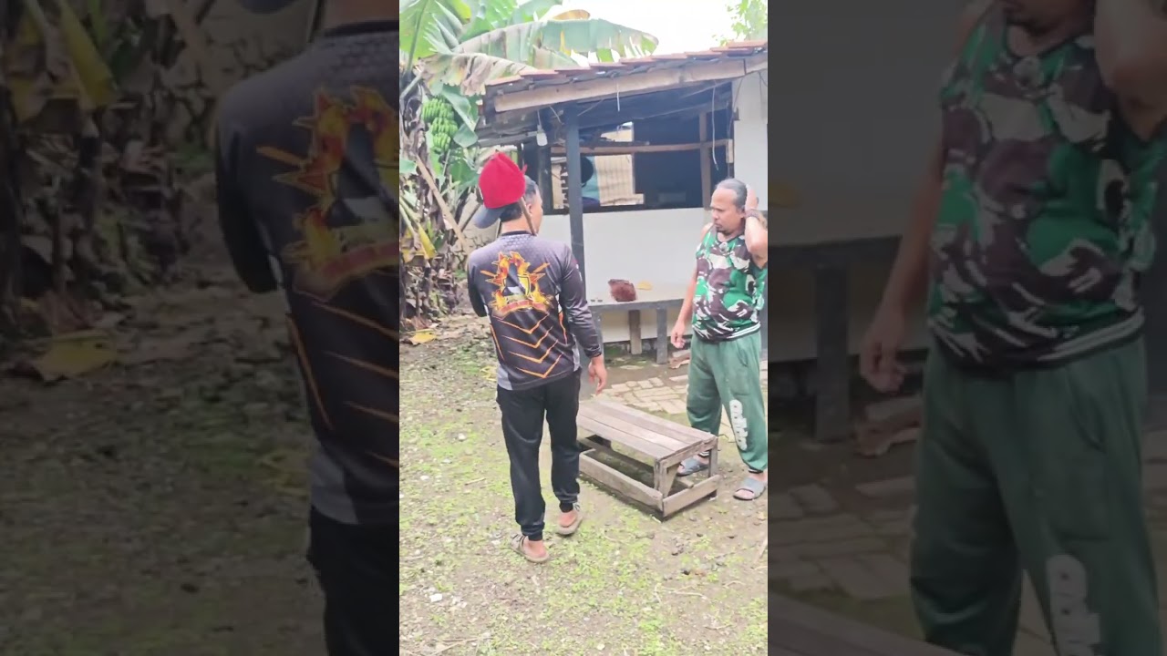 Kumpulan vidio vidio lucu dualier part 1