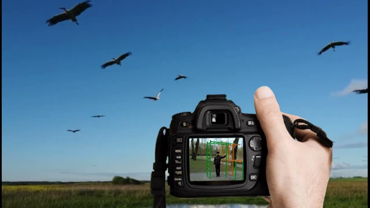 ЛЕТЯТ  В  НЕБЕ  ЖУРАВЛИ!