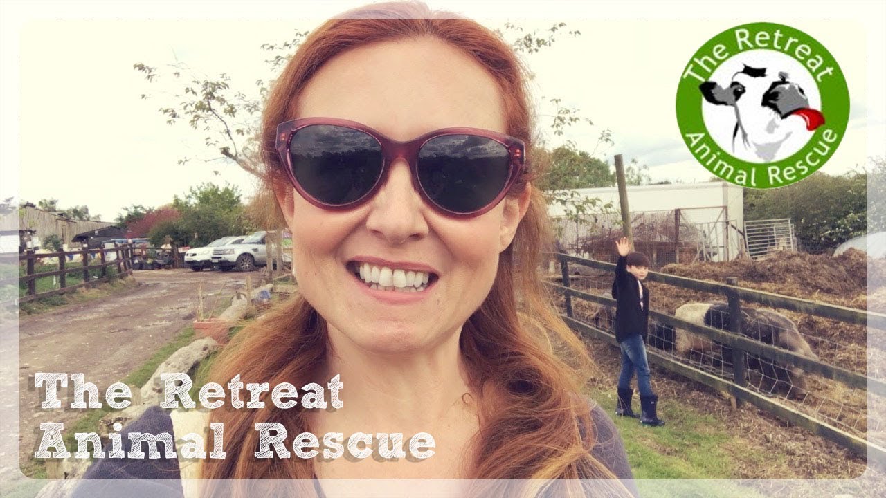 Приют для животных &laquo;The Retreat Animal Rescue&raquo; ☀️ Веганский день на природе 🐄 Видеоблог
