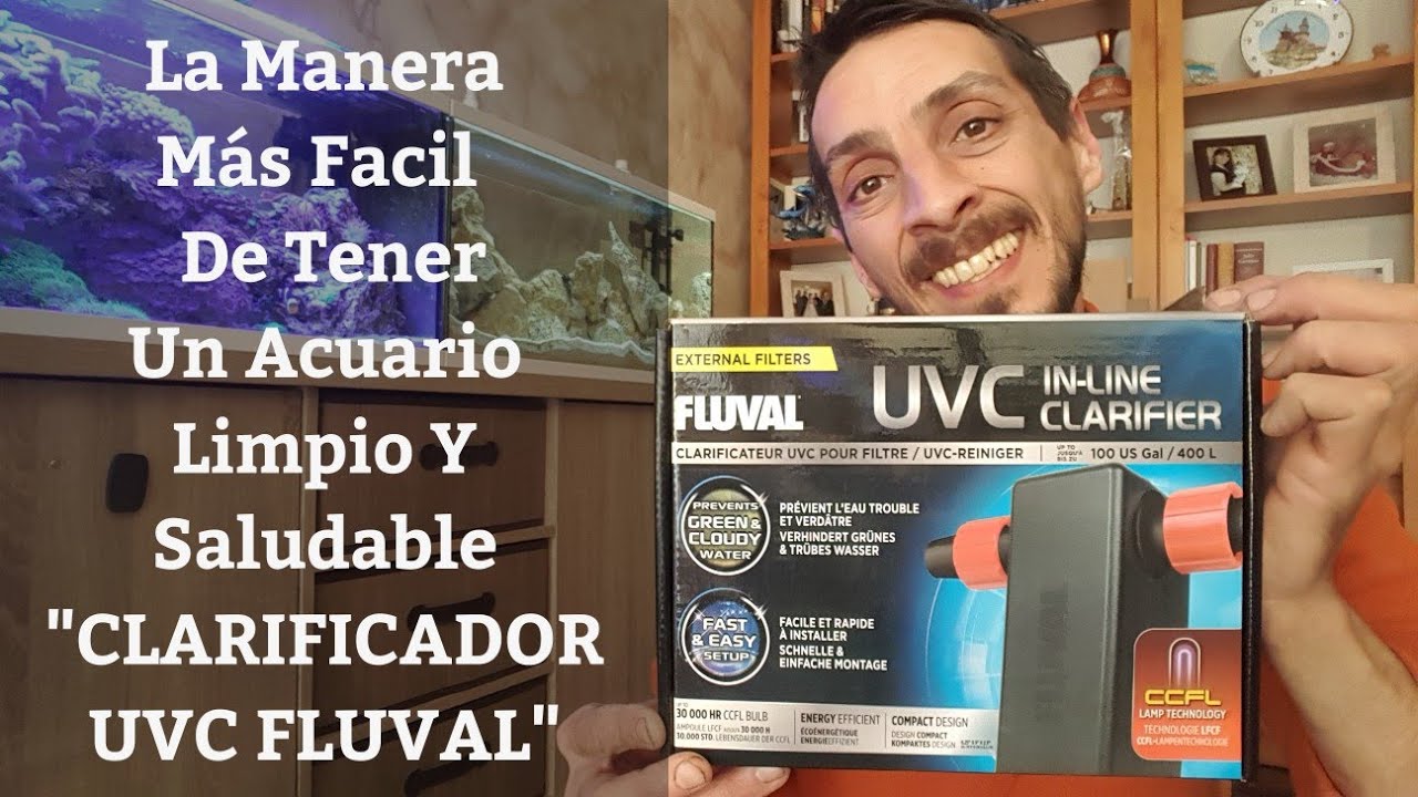 🔵 Clarificador 