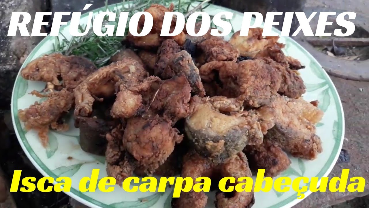 Isca de carpa cabeçuda frita no arado uma delicia crocante e feita com trigo incrivel