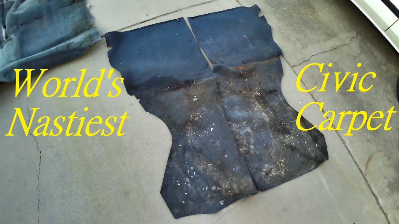 EK Civic Carpet Cleaning and Rambling