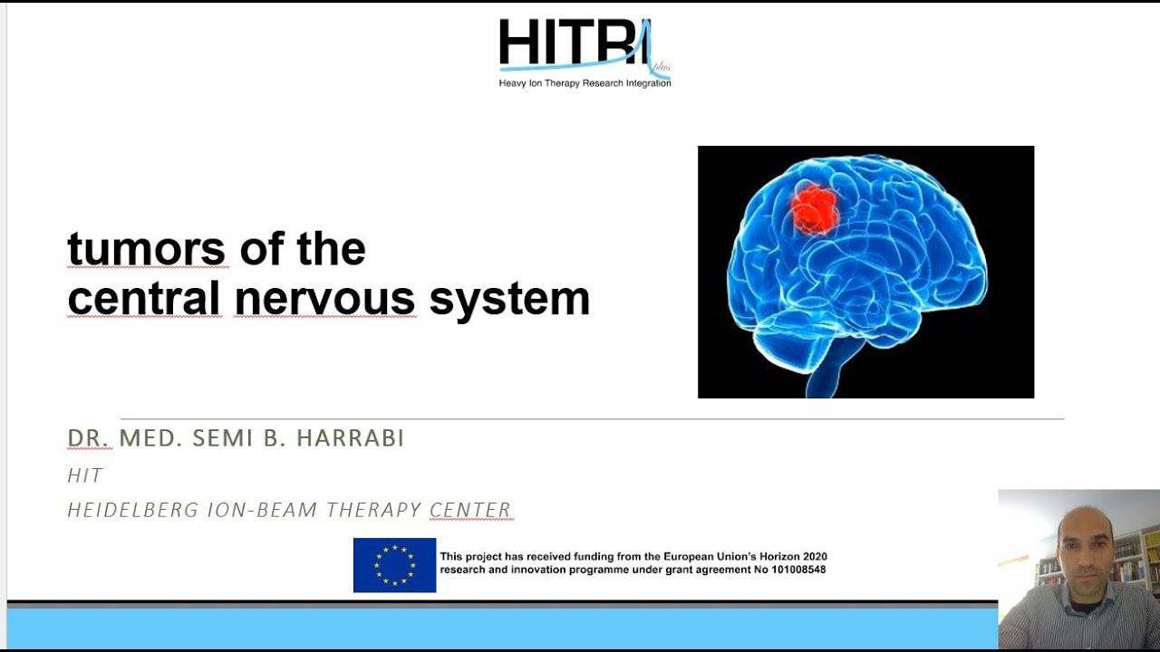 3rd HITRIplus School: Central Nervous System - Semi Harrabi - HIT