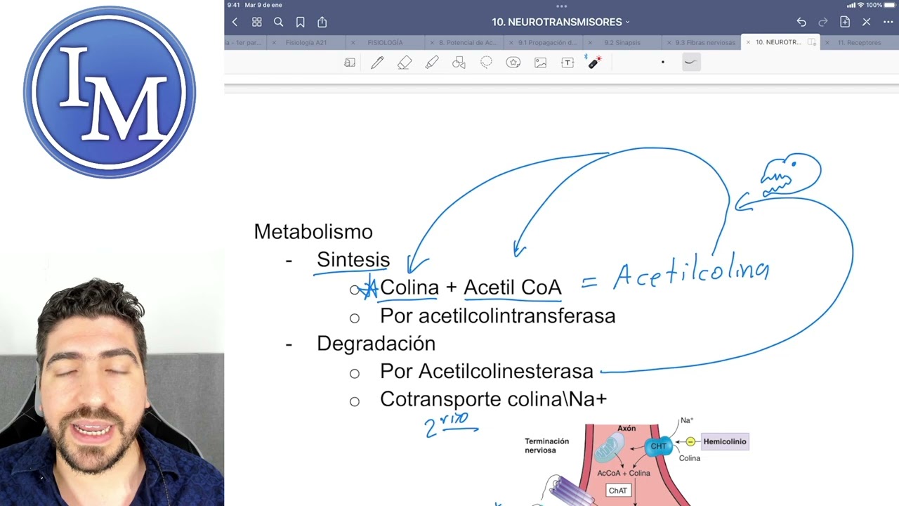 Fisiología clase 10 | Neurotransmisores
