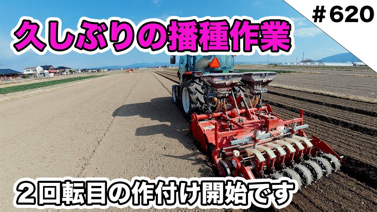 久しぶりのほうれん草播種作業　２回転目の作付けです