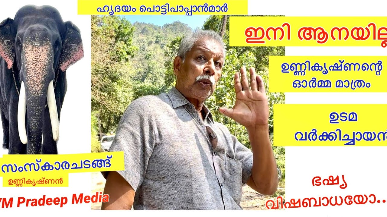 Nadakkal Unnikrishnan വിട ഭഷ്യവിഷബാധയോ ഇനിആനയില്ല ഉടമ സംസ്കാരചടങ്ങ്@VMPRADEEP നടയ്ക്കൽഉണ്ണികൃഷ്ണൻ