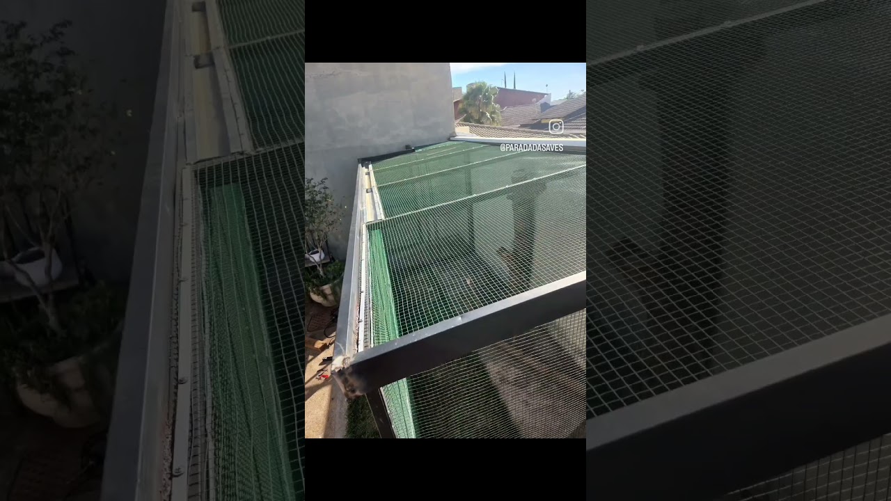 Constru&ccedil;&atilde;o de viveiro para cria&ccedil;&atilde;o de Diamante Gould, Calopsita, Manon e Mandarim em colonia