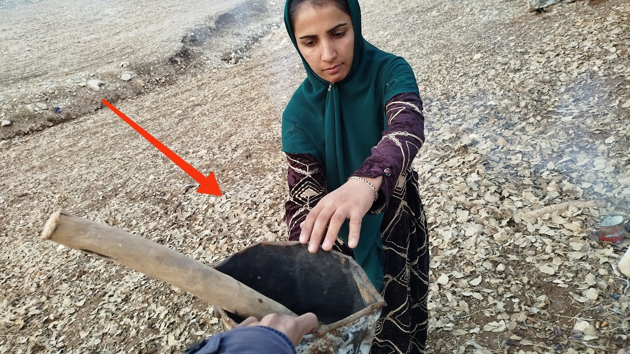 Documentary about love and compassion, Ali Reza's efforts to help the mountain woman