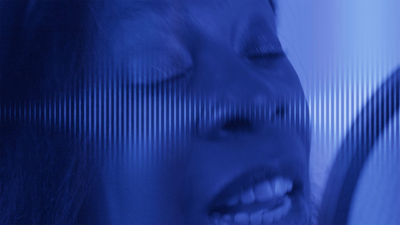 Segregation Seeds (Official Music Video)