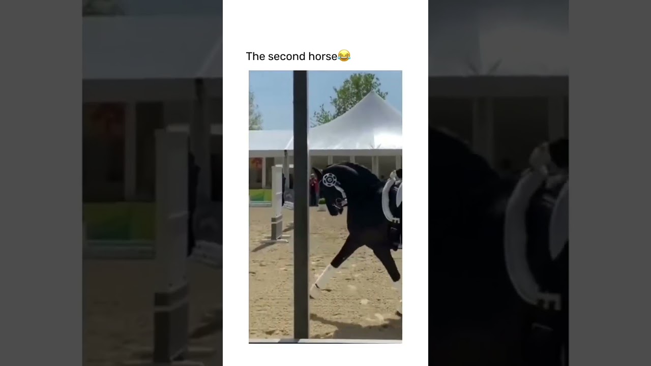 Horse Accepted Floating Challenge 😂 #funny #shorts #floating #horse