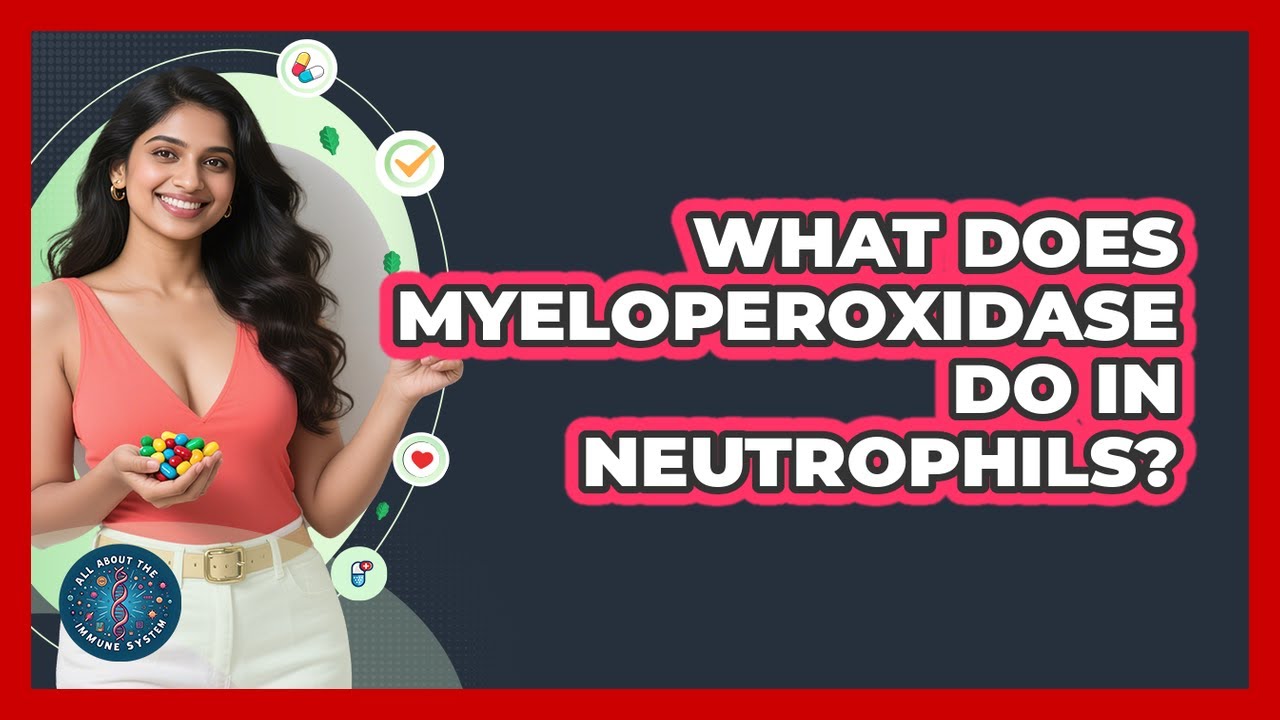 What Does Myeloperoxidase Do In Neutrophils? - All About the Immune System