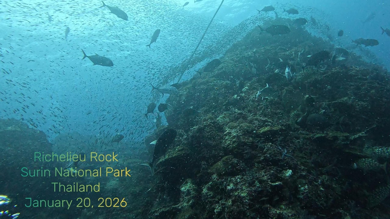 Richelieu Rock, Sirin National Park, Thailand, January 20, 2026