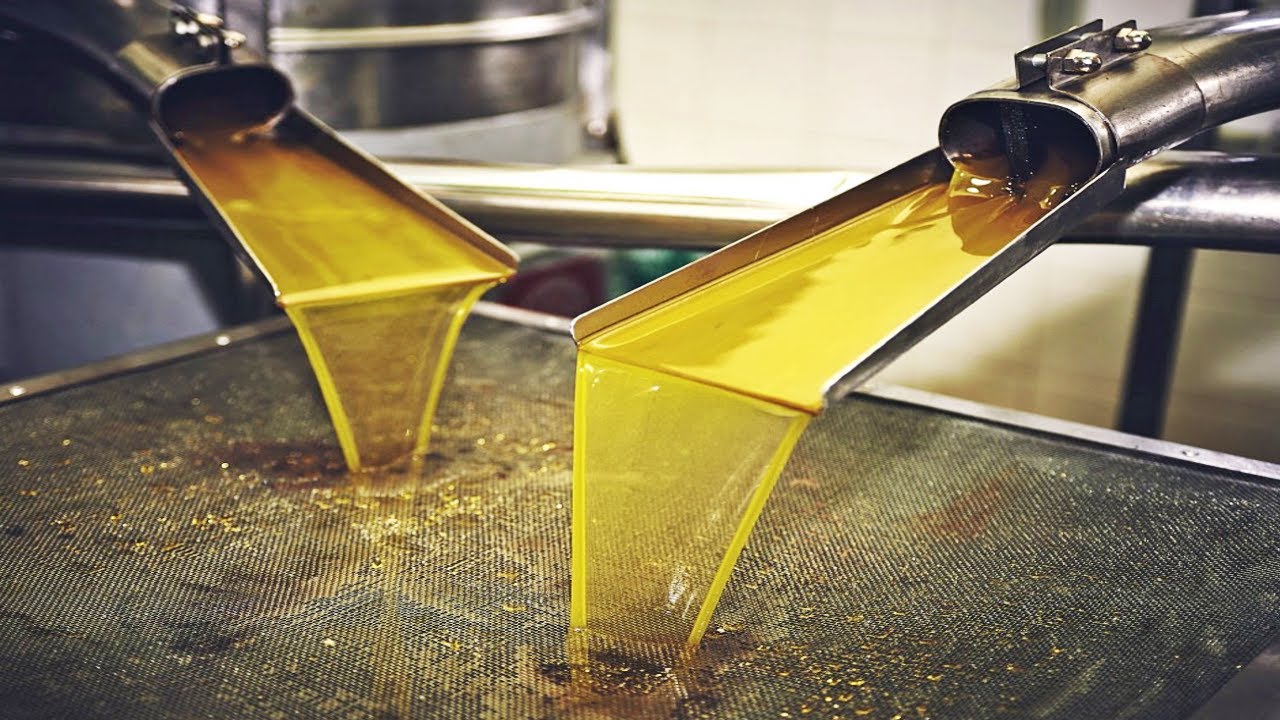 COMO se HACE el ACEITE de OLIVA virgen extra✅| ¿Cómo se EXTRAE el ACEITE de OLIVA de la aceituna?