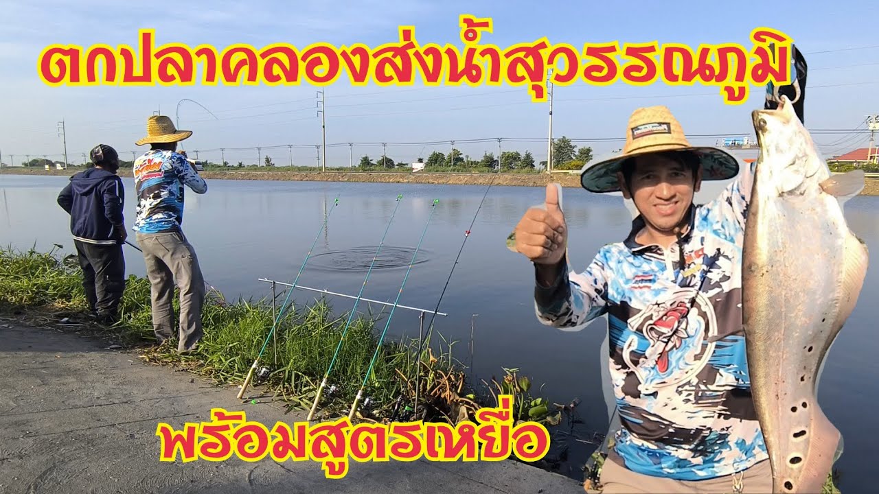 ตกปลากราย ปลาฉลาด ปลานิล ปลาตะเพียน ด้วยเหยื่อกุ้งฝอย คลองธรรมชาติ คลองส่งน้ำสุวรรณภูมิ