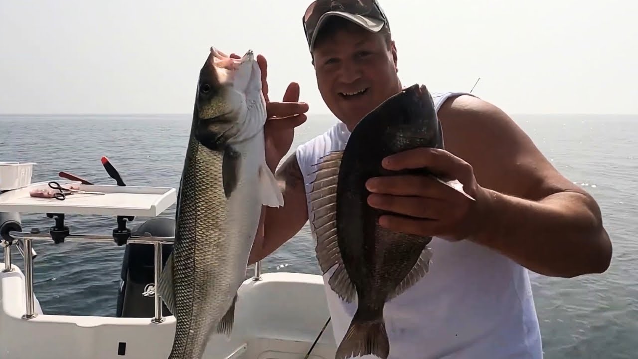 BIG Black Bream Fishing in Sussex over Rocky Reef