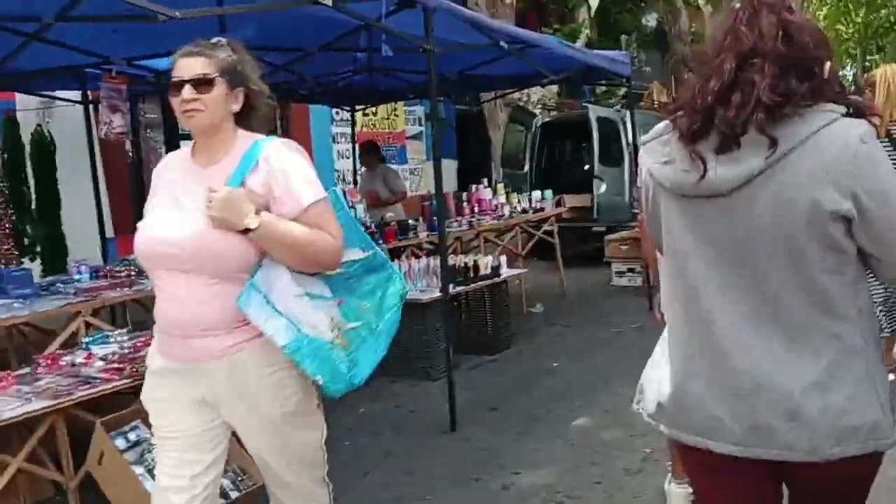 ( 3 ) FERIA BARRIO PEÑAROL EN MONTEVIDEO 2025