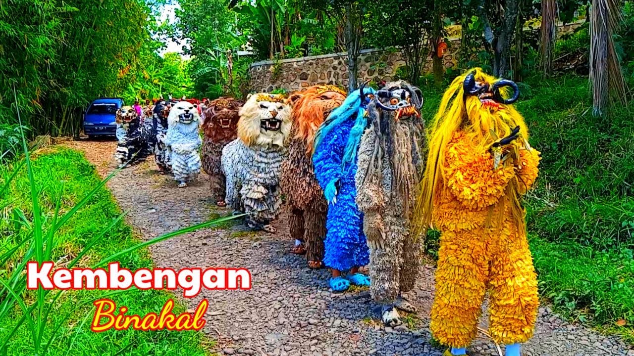 MERIAH ‼ Can macanan singo raung cilik di undang acara aqiqoh tampil di kembengan binakal