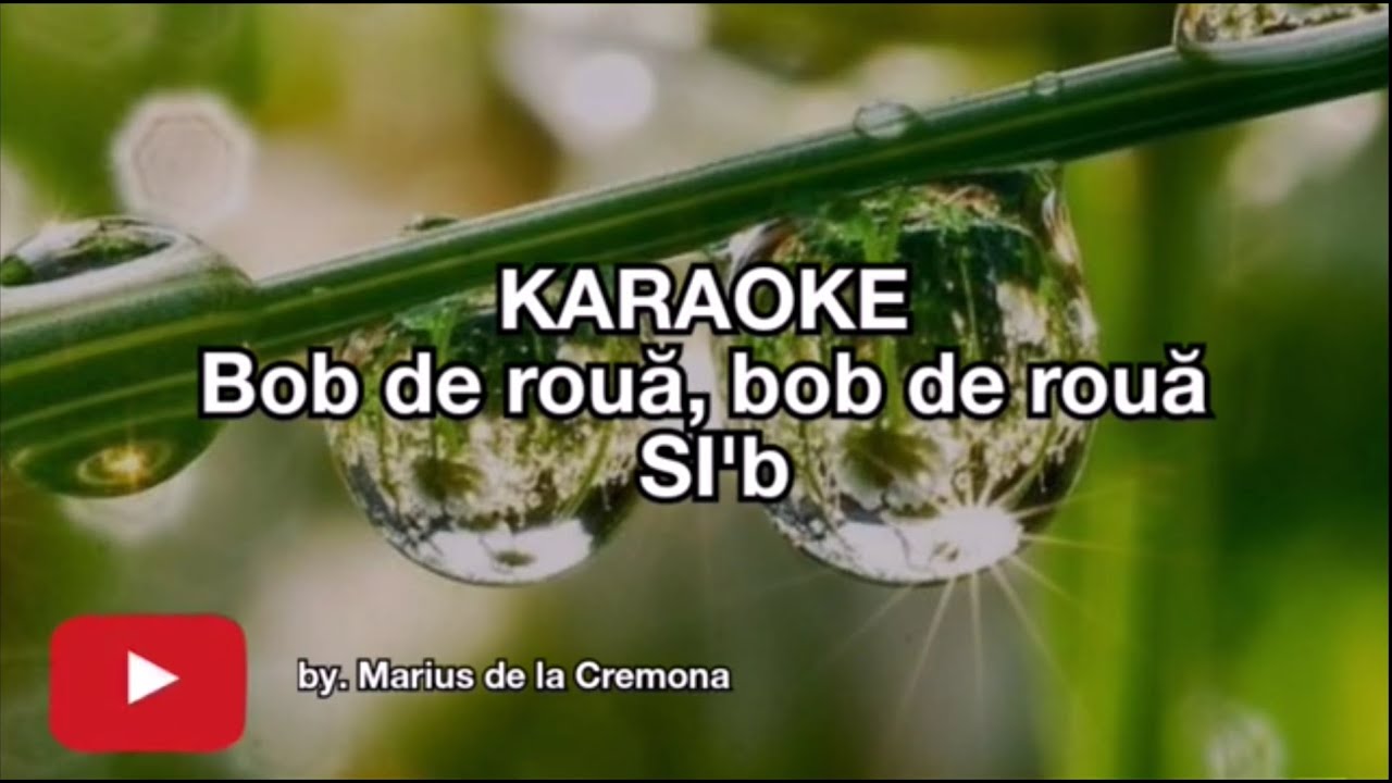 Bob de rouă - KARAOKE