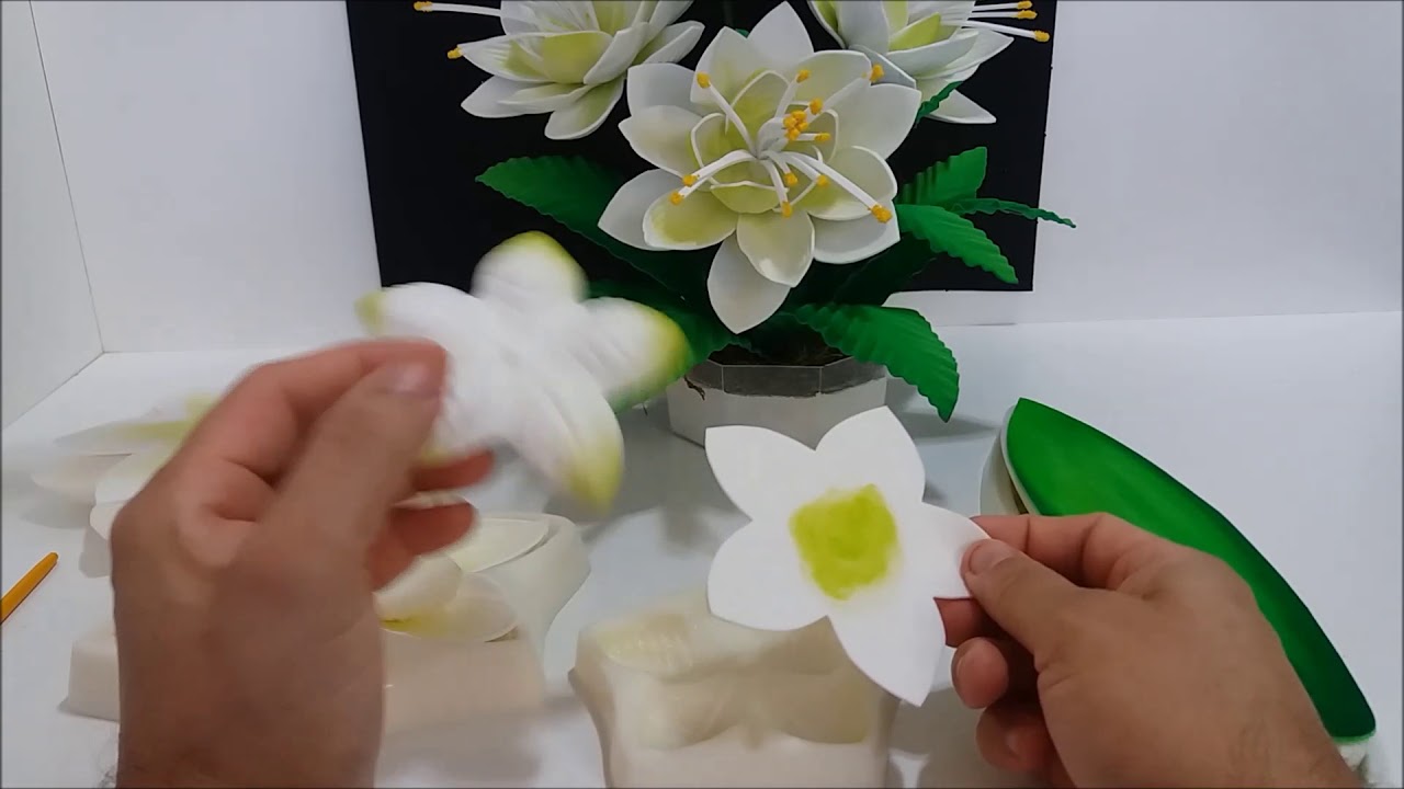 FLOR ESTRELA SHOW