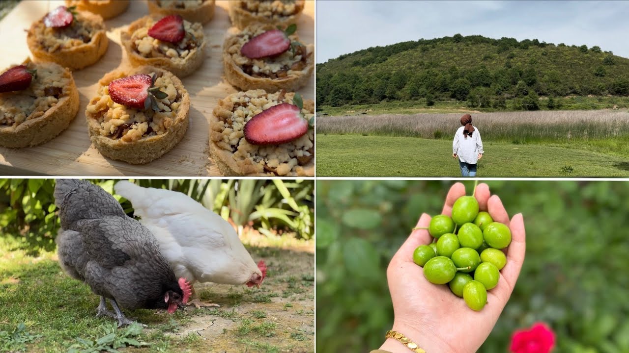 #11 GamiHomi Sessiz Vlog Yaz Günleri,Piknik,Elmalı Tart,Dereotlu Poğaça