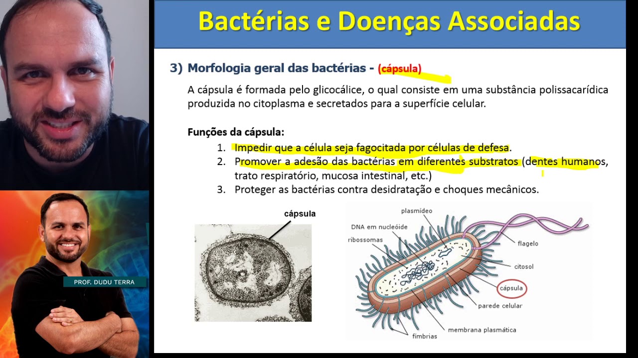 Bactérias e Doenças Associadas - Aula 1