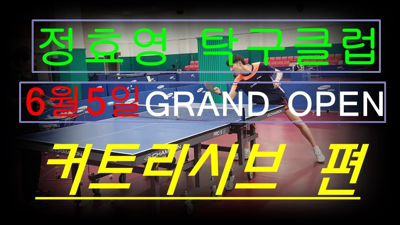 [분당 정효영탁구클럽] 커트리시브 훈련