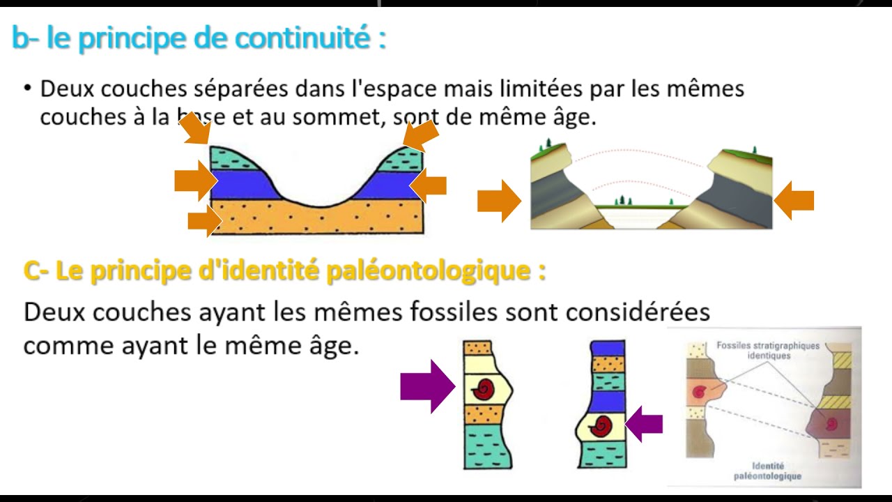 1AC- Les fossiles, fossilisation et l'échelle stratigraphique​