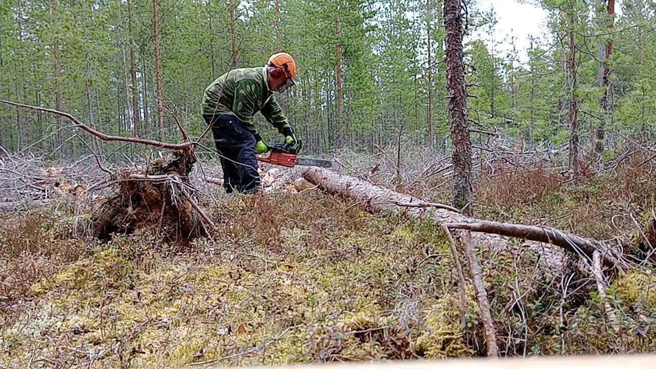 Jonsered 535 in action