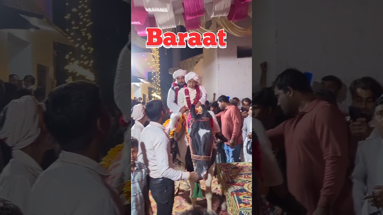 Tiger dulha बन गया! | Marriage Special Mini Vlog 💍