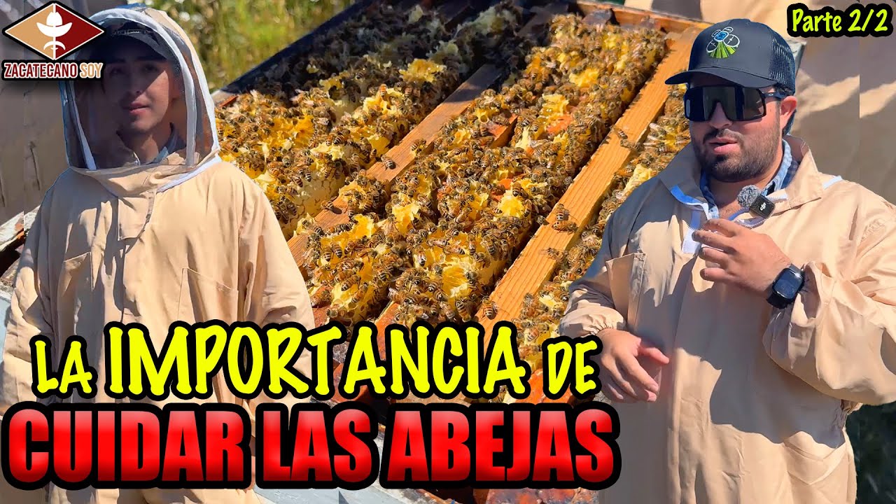 TE DAMOS TODO para ser apicultor