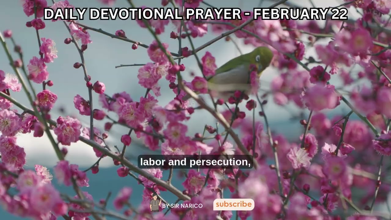 FEBRUARY 22 || DAILY BIBLE READING AND MEDITATIONS