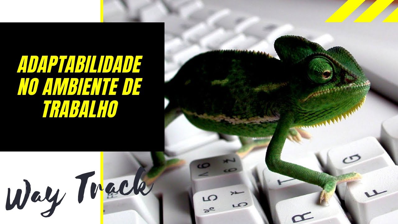 Adaptabilidade no Ambiente de Trabalho